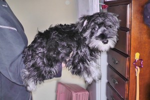 2013-01-26 M2000002 - コピー