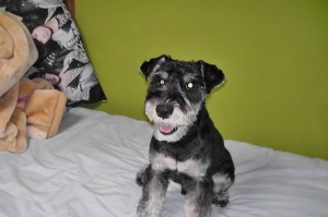 M2510003 - コピー